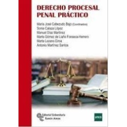 Derecho procesal penal práctico