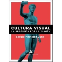 Cultura visual