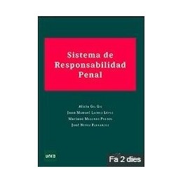 Sistema de responsabilidad penal