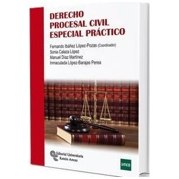 Derecho procesal civil especial práctico
