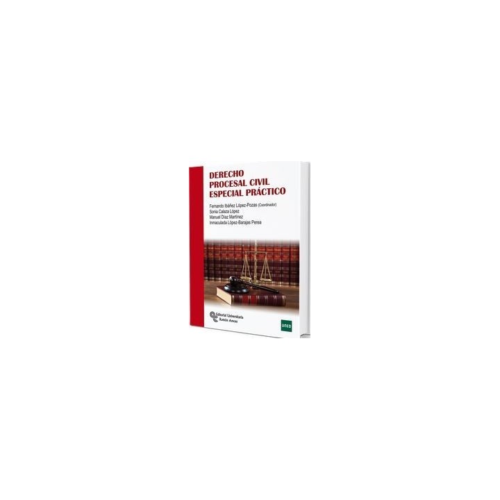 Derecho procesal civil especial práctico